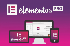  Elementor