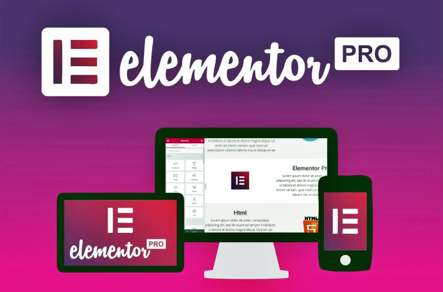 Elementor Pro