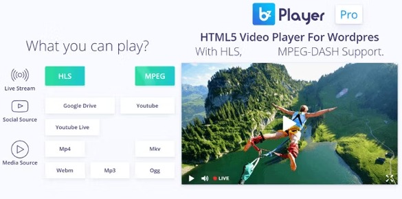 bzplayer Pro - плагин WordPress видео-плеера для онлайн трансляций