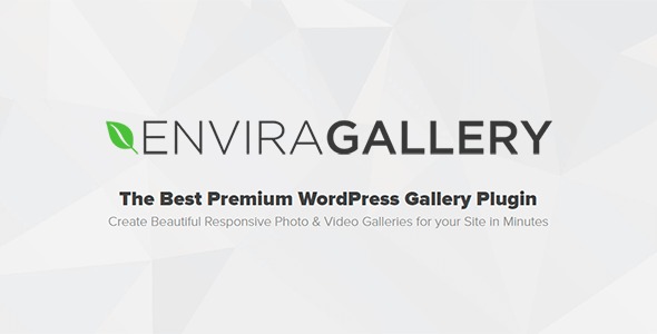 Envira Gallery Pro - лучший отзывчивый плагин для галерей WordPress