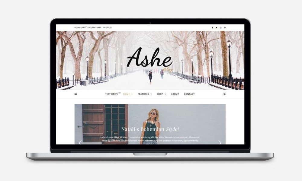 Ashe Blog Pro - блоговая премиум тема WordPress
