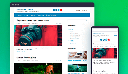 Root - самая экологичная тема WordPress