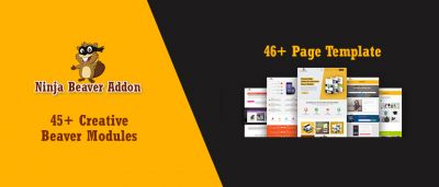 Ninja Beaver Addon - аддон для Beaver Builder