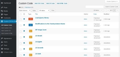 Simple Custom CSS and JS PRO — плагин для контроля дизайна и функциональности WordPress