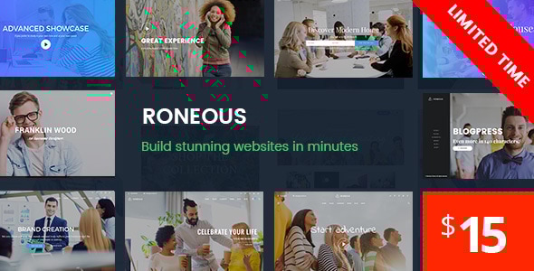 Roneous — творческая многоцелевая тема для WordPress