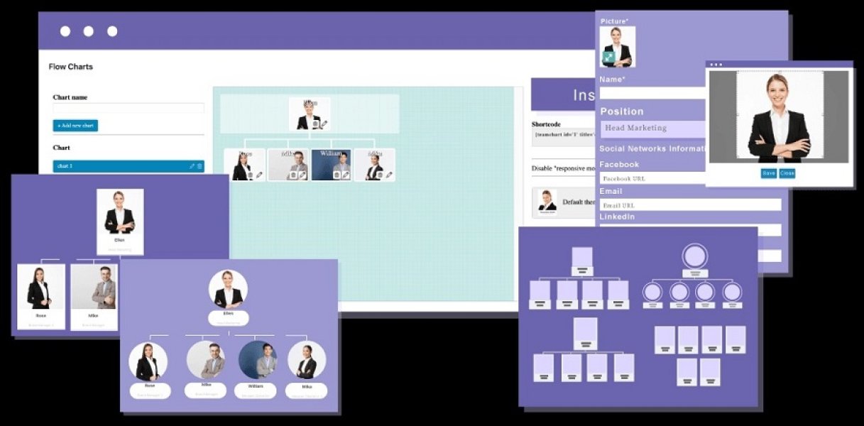 WP Team Display - плагин отображения команды WordPress