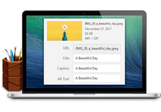 Auto Image Attributes Pro — автоматическое добавление атрибут к изображениям в WordPress