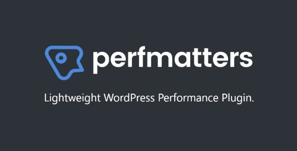 Perfmatters — ускорьте ваш сайт WordPress