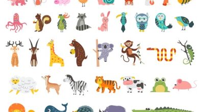 preview 38 cute animals